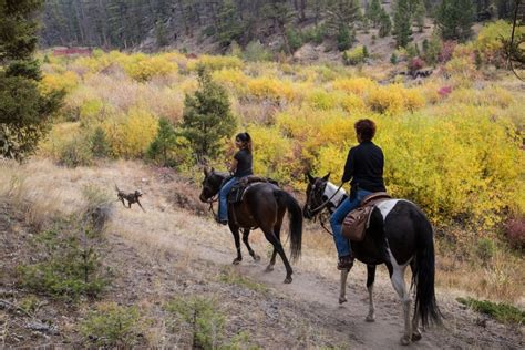 The Best Horseback Riding In Big Sky Montana Discovering Montana