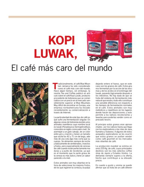 Kopi Luwak El Caf M S Caro Del Mundo