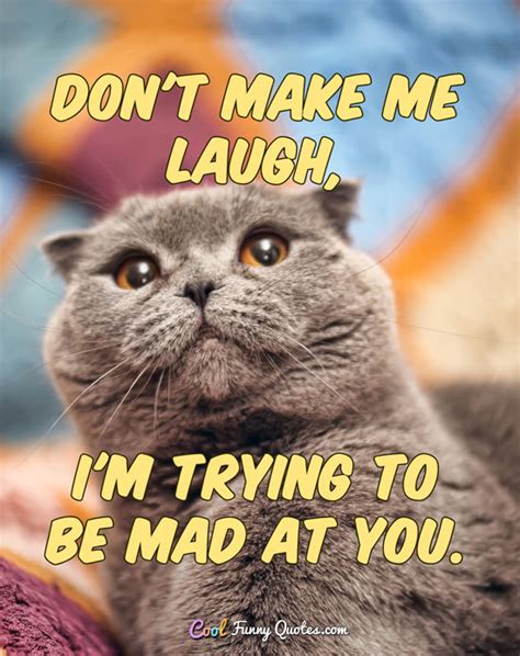 don t make me laugh i m trying to be mad at you