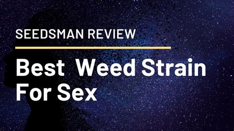 Best Weed Strain For Sex Seedsman Reviews Youtube