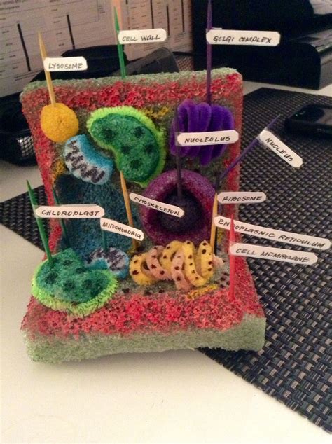 Pin By Cailey De Leon On Diy Craftswork Cells Project Plant Cell