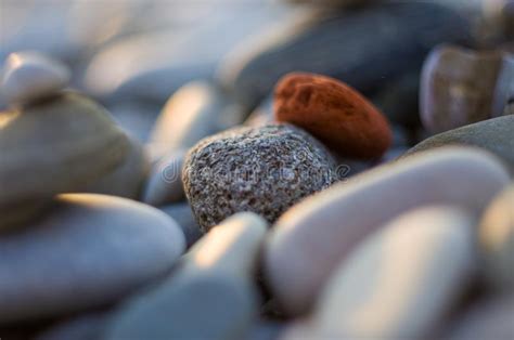 Boulders And Colorful Pebbles On The Beach Stock Photo Image Of Round