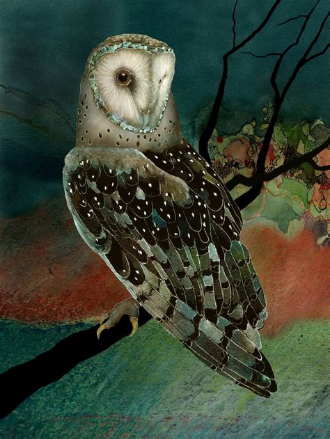 Barn Owl 2 Signed Fine Art Print 9x12 Owls Barn Owls Owl Print Etsy