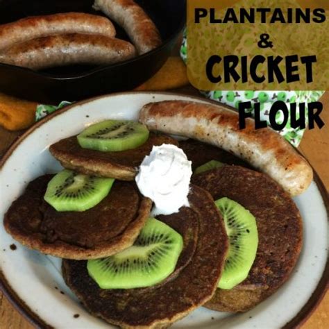 Cassava, corn, guinea corn have been used for donkey years for making flour. AIP Plantain Cricket Flour Pancakes- Egg-free, Nut-free, Dairy-free - Eat Beautiful