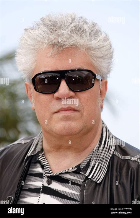 pedro almodovar at the broken embraces photocall held at the palais des festivals during the
