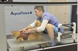 Images of Underwater Treadmill For Dogs For Sale Used