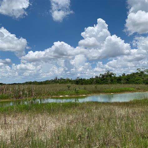 Everglades River Of Grass Adventures Trail In Miami