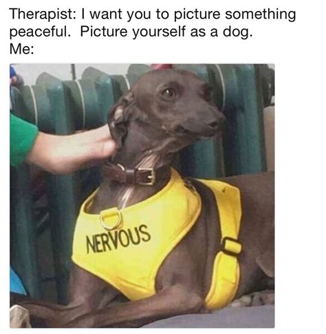 See more ideas about doge meme, doge, animal memes. Pin by Emma Burrows on Everything | Funny dog memes, Dog ...