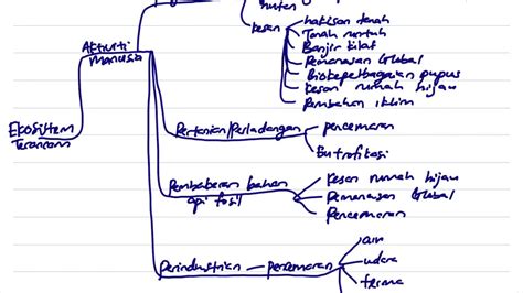 Berikut adalah tingkatan groupset mtb shimano dari bawah sampai atas : BIOLOGI BAB 9(BAHAGIAN 1) -PENGENALAN KEPADA EKOSISTEM ...