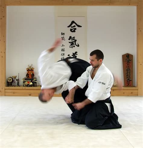 Ueshiba's goal was to create an art that p. Aikido - Wikipedia