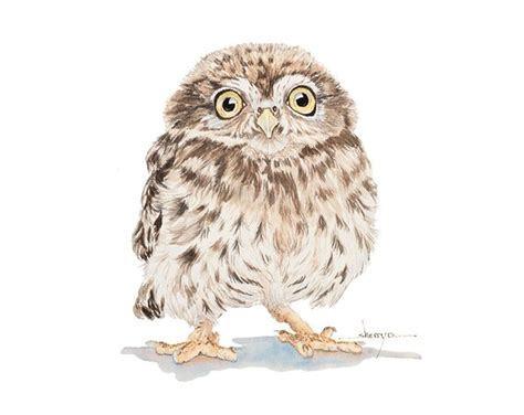 Owl Art Baby Owl Painting Nursery Art Owl Print Etsy