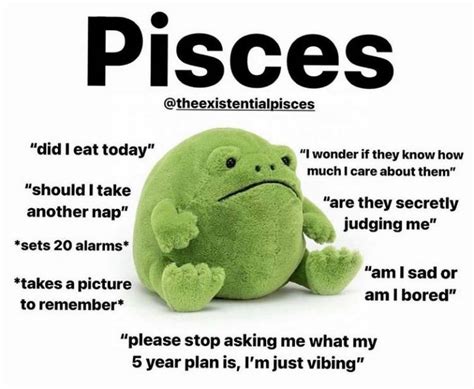 53 Funny Pisces Memes Zodiac Season From February 18 To March 20