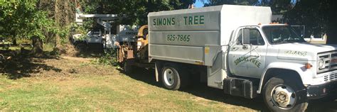 Simons Tree Service