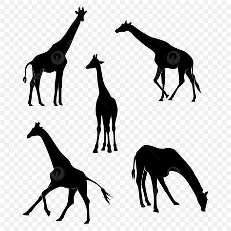 Giraffe Background Silhouette Png Images Set Of Giraffes Silhouette