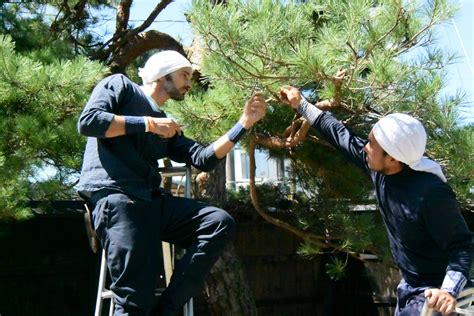 Japanese Gardener Experience Hida Local Experience