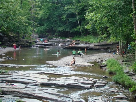 Millstream Woodstock See Swim