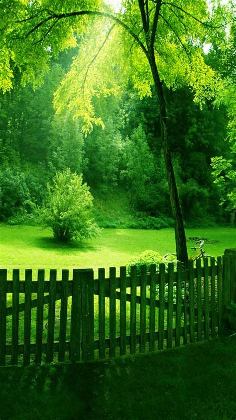 Nature is varied, inspirational and beautiful. Wallpaper Nature Green Android - 2020 Android Wallpapers