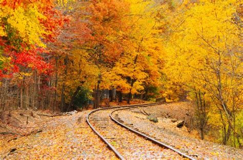 Fall Foliage Train Rides In The Northeast Your Aaa Network