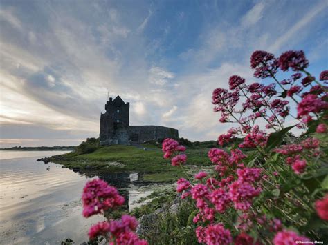 Dunguaire Castle In County Galway Castles To See Near Galway Ireland