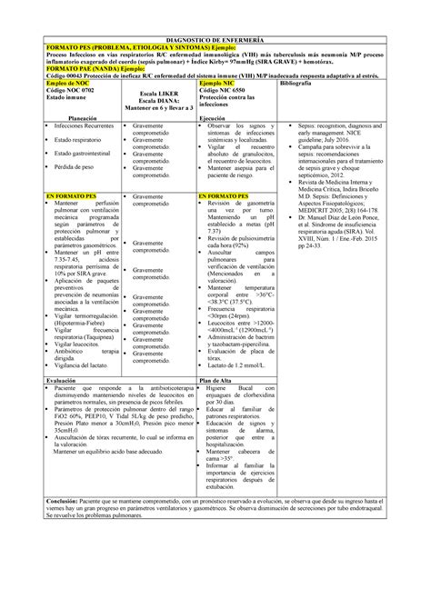 Forma DE Elaborar SU PAE DIAGNOSTICO DE ENFERMERÍA FORMATO PES