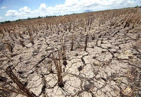 World Should Prepare For El Nino New Record Temperatures Un