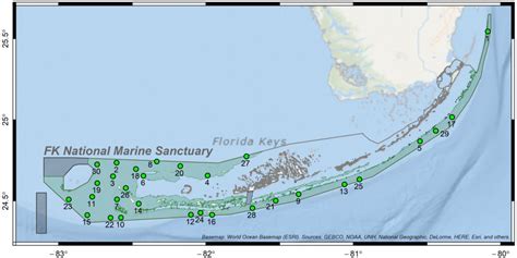 New Report Characterizes Offshore Soft Bottom Habitats In Florida Keys