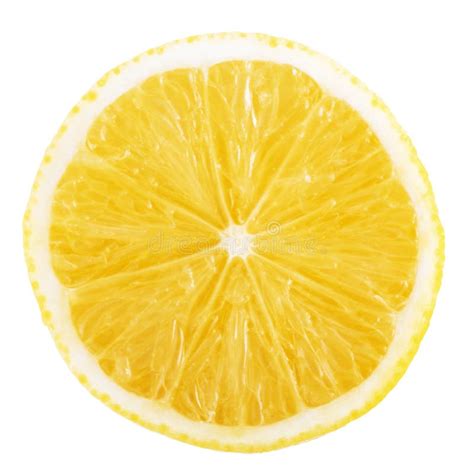Slice Of Lemon Isolated On White Background Stock Photo Image Of