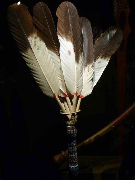 native american feather meaning the full guide 2023