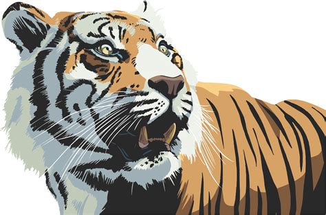 Tiger Clipart Transparent Dibujos Para Dibujar De El Tigre Png Download