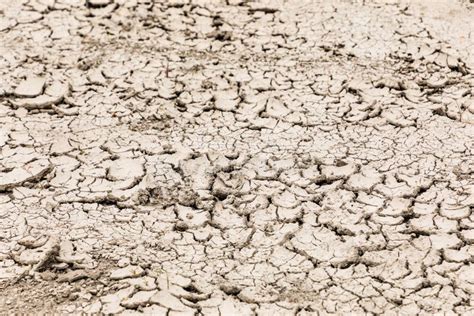 Dry Soil Cracks Desert Ground Drought Stock Image Image Of Abstract