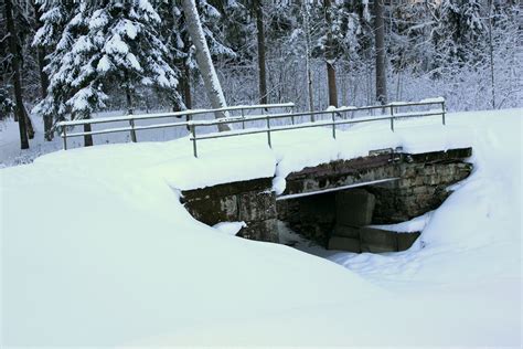 Free Bridge In The Sunless Winter Forest Stock Photo