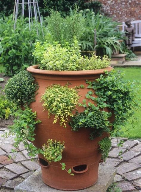 15 Adorable Diy Container Herb Garden Design Ideas Fresh4home
