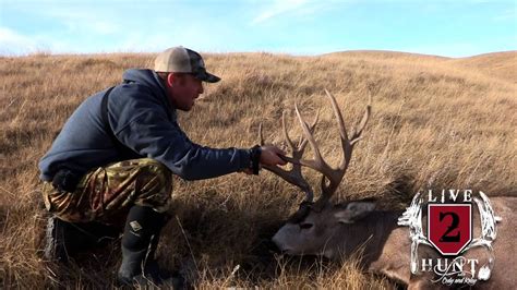 Cody Robbins 2012 Big Archery Mule Deer Youtube
