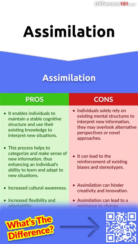 Assimilation Vs Accommodation 5 Key Differences Pros Cons