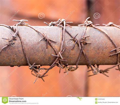 Rusty Barbed Wire On The Tube Stock Photo - Image of safety, fence ...