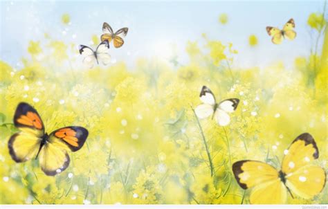 April Spring Wallpapers Top Free April Spring Backgrounds