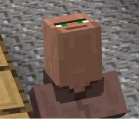 Minecraft Villager Looking Up Blank Template Imgflip