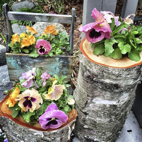 Introduction To Unusual Container Gardens