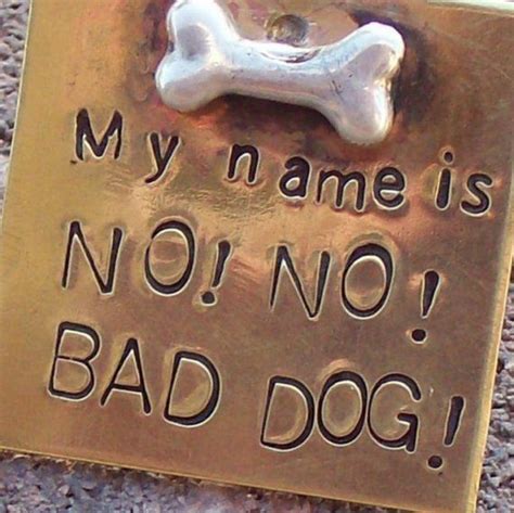 My Name Is No No Bad Dog Pet Tag Etsy Pet Tags Bad Dog Cute Dog Tags