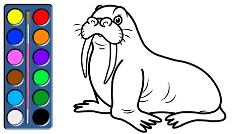 Coloring Walrus Walrus Drawing For Children Drawing And Coloring