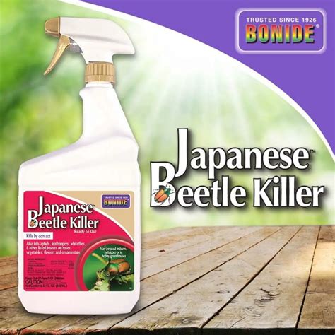 How To Get Rid Of Asiatic Garden Beetle Know The Easy Steps