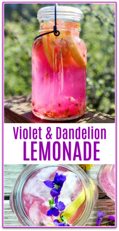 Violet And Dandelion Lemonade Recipe Primally Inspired