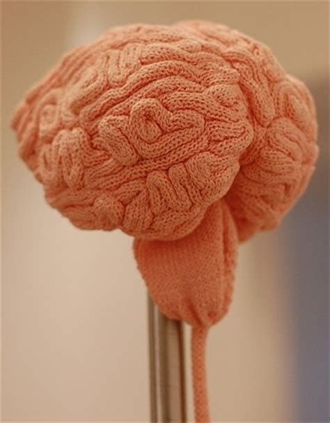 Check spelling or type a new query. brain, knitting, postmodern, science, sculpture, yarn ...