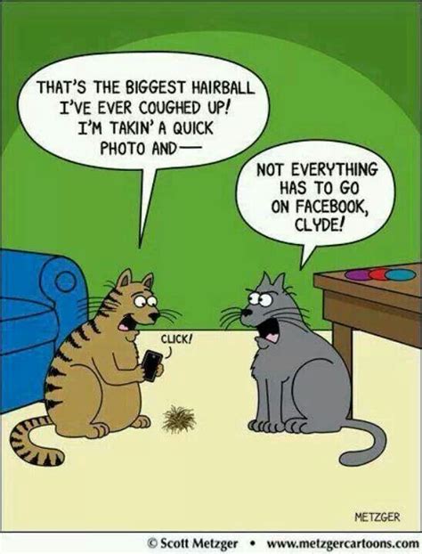 social media cat jokes scary gary funny pictures