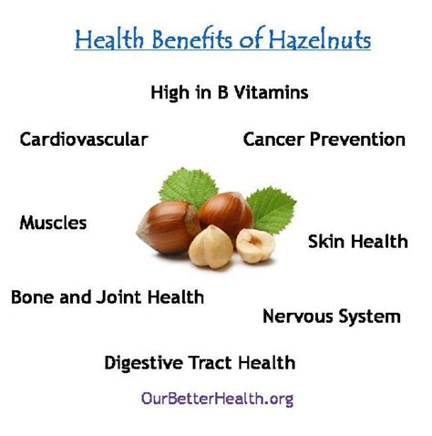Health Benefits Of Hazelnuts Hazelnut Benefits Health And