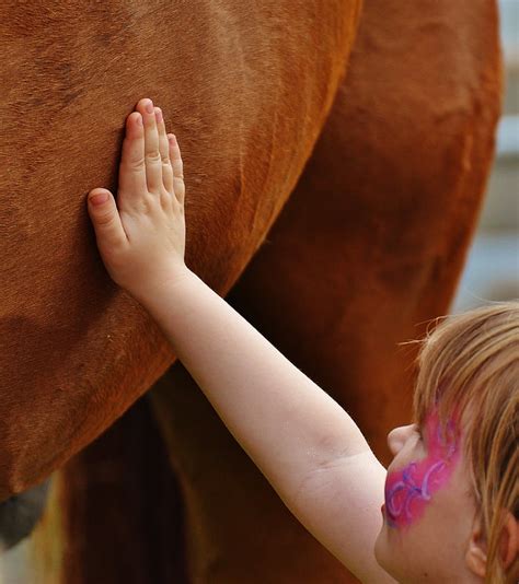 Gratis Foto Lille Pige Stor Hest Slagtilfælde Kærlighed Fur Hånd