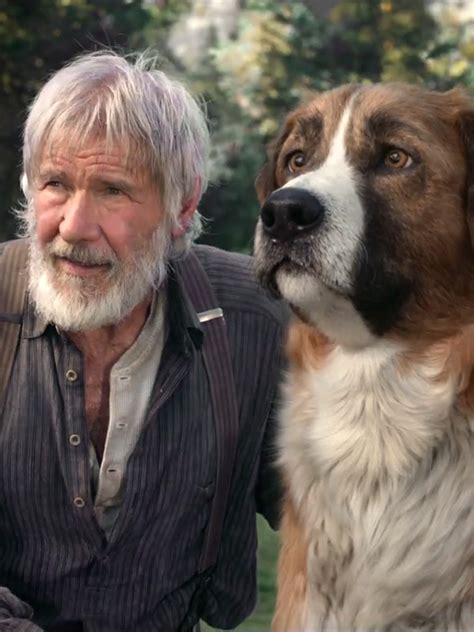 A 20th century fox traz para o cinema a história de a jovem otimista e sonhadora june encontra escondido na floresta um parque de diversões chamado wonderland, que é cheio de. O Chamado da Floresta poster - Poster 2 - AdoroCinema