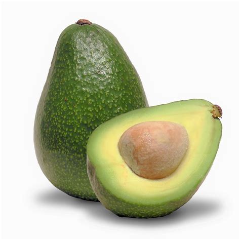 Avocado — Momobud