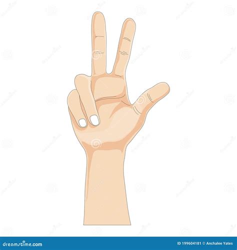 One Hands Showing Three Fingers on White Background, Vector