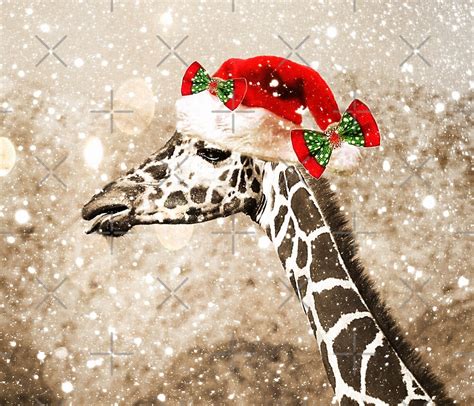 Christmas Giraffe By Carolm Redbubble